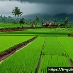 기니의 지역별 기후 차이 - A vibrant rural Guinean landscape during the rainy season in Kindia region, showing lush green rice ...