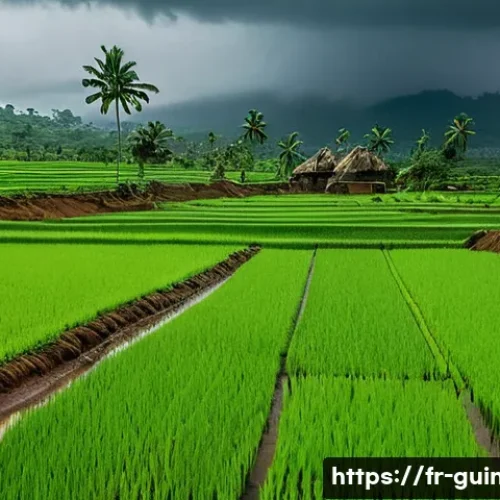기니의 지역별 기후 차이 - A vibrant rural Guinean landscape during the rainy season in Kindia region, showing lush green rice ...