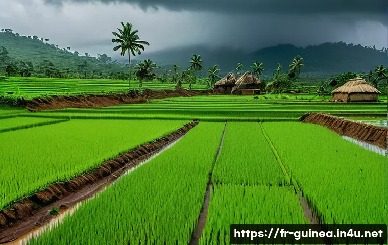 기니의 지역별 기후 차이 - A vibrant rural Guinean landscape during the rainy season in Kindia region, showing lush green rice ...