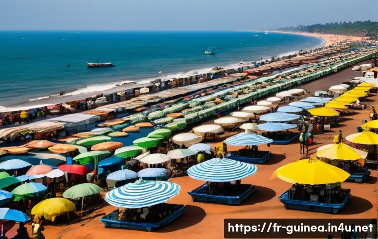 기니의 지역별 기후 차이 관련 이미지 1