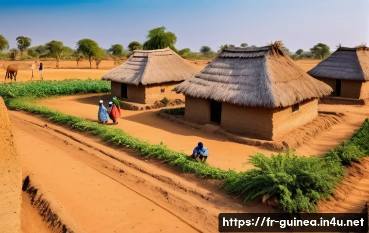 기니의 지역별 기후 차이 관련 이미지 2
